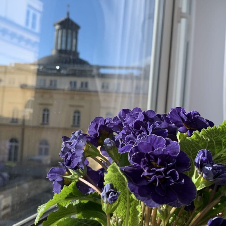 Art and Wine Friends Malowanie przy Winie Warszawa widok 4-te piętro muzeum etnograficzne inspiracja.JPG