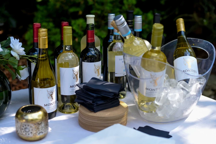 ART and Wine Friends wina.jpg